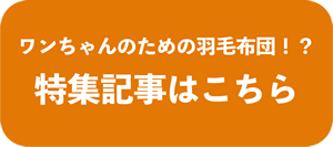 特集記事はこちら