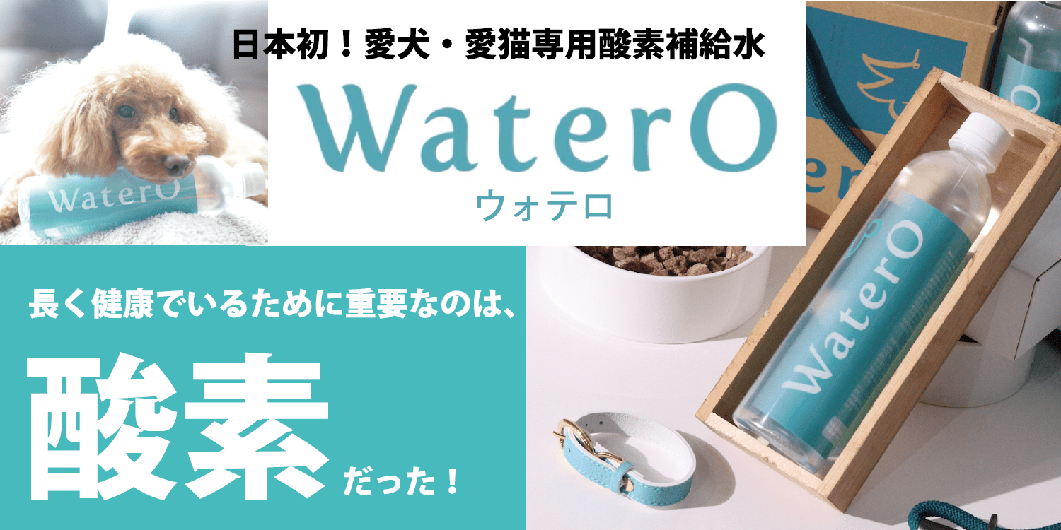 ウォテロ